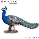 『全品SALEクーポン』ウービア Woobia 【クジャク(特大)】 (幅85cm×奥行28cm×高さ47cm)かわいい 置物 リアル 動物 おしゃれ インテリ...