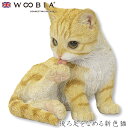 『全品SALEクーポン』ウービア Woobia 【後ろ足をなめる新色猫】 (幅13.5cm×奥行13.5cm×高さ14cm)猫 ねこ ネコ cat かわいい 置...