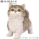 『全品SALEクーポン発行中』ウービア Woobia 【マンチカン サバトラ白】 (幅16cm×奥行8.5cm×高さ15cm猫 ねこ ネコ cat )かわいい ...