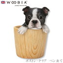 『全品SALEクーポン』【Woobia(ウービア)】【ボストン・テリア ペン立て】 (幅10cm×奥行8cm×高さ12cm)犬 いぬ イヌ ドッグ dog かわ...