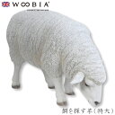 『全品SALEクーポン発行中』ウービア Woobia 【餌を探す羊(特大)】 (幅81cm×奥行39.5cm×高さ55.5cm)かわいい 置物 リアル 動物 お...