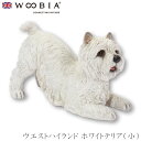 『SALEクーポン発行中』【Woobia(ウービア)】【ウエストハイランド ホワイトテリア(小)】 (幅26cm×奥行12.2cm×高さ16.3cm)犬 いぬ イヌ ドッグ dog 置物 リアル 動物 インテリア ガーデニング イギリス 人形 オーナメント ペット #4582756150148(3)