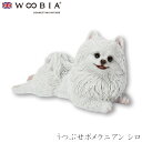 『GW限定SALEクーポン』【Woobia(ウービア)】【うつぶせポメラニアン シロ】 (幅21cm×奥行10.5cm×高さ11.5cm)かわいい 置物 リアル...