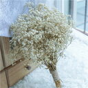 かすみ草 成人式 ウエディングブーケ 結婚式 プリザーブドフラワー ドライフラワー ウェディング 花嫁 披露宴 ブライダルブーケ カスミソウ 前撮り 森ガール
