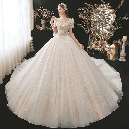 ウェディングドレス ウエディングドレス 二次会 結婚式 前撮り ブライダル ロングドレス 花嫁 プリンセスドレス 半袖 シャンパン スクエアネック ゴージャス 海外挙式 フォトウェディング プリンセスライン wedding dress Aラインドレス 小さいサイズ 大きいサイズ ウェディングドレス ウエディングドレス 二次会 結婚式 前撮り ブライダル ロングドレス 花嫁 プリンセスドレス 半袖 シャンパン スクエアネック ゴージャス 海外挙式 フォトウェディング プリンセスライン wedding dress Aラインドレス 小さいサイズ 大きいサイズ