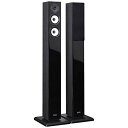 ONKYO 2ウェイ・スピーカーシステム(2台1組) 黒モデル D109XEB
