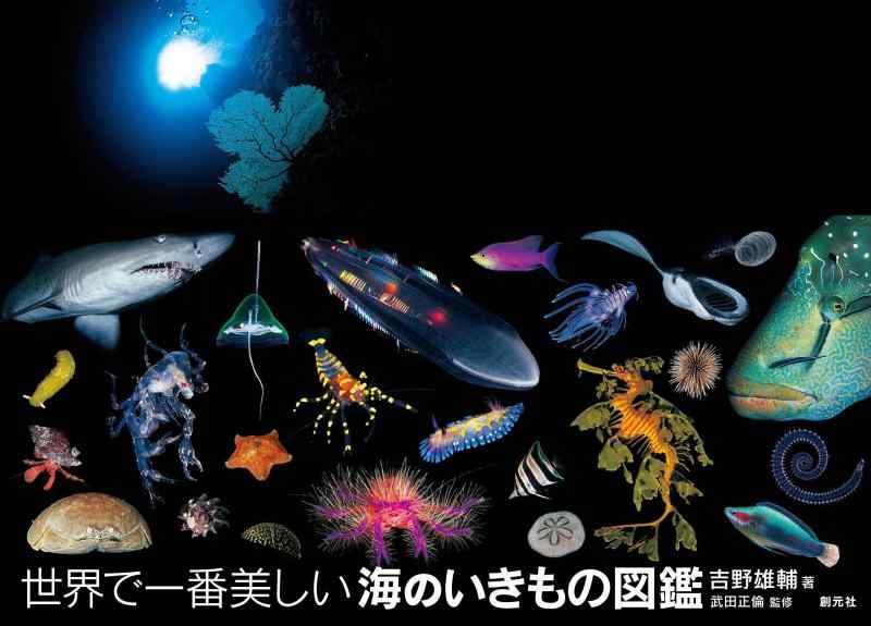 Rakuten - 【中古】世界で一番美しい海のいきもの図鑑