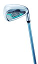 ブリヂストン(BRIDGESTONE) TOUR B アイアンセット 19JGR CL AirSpeeder JGR for Iron カーボン レディース G...