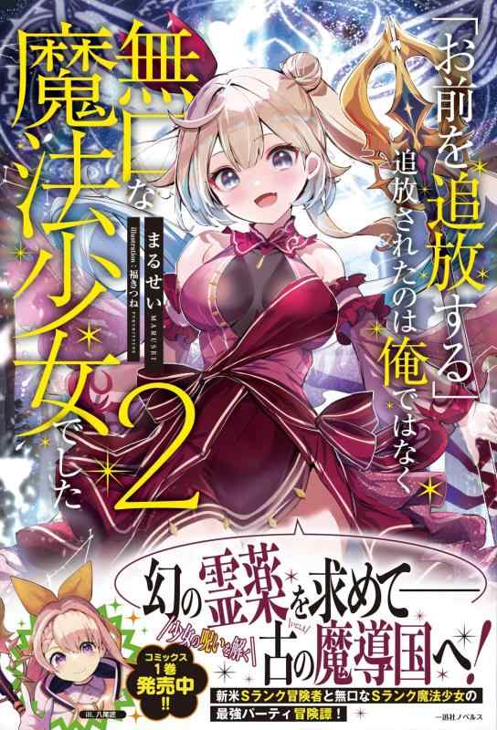 乐天商城 - 【中古】「お前を追放する」追放されたのは俺ではなく無口な魔法少女でした2 (一迅社ノベルス)