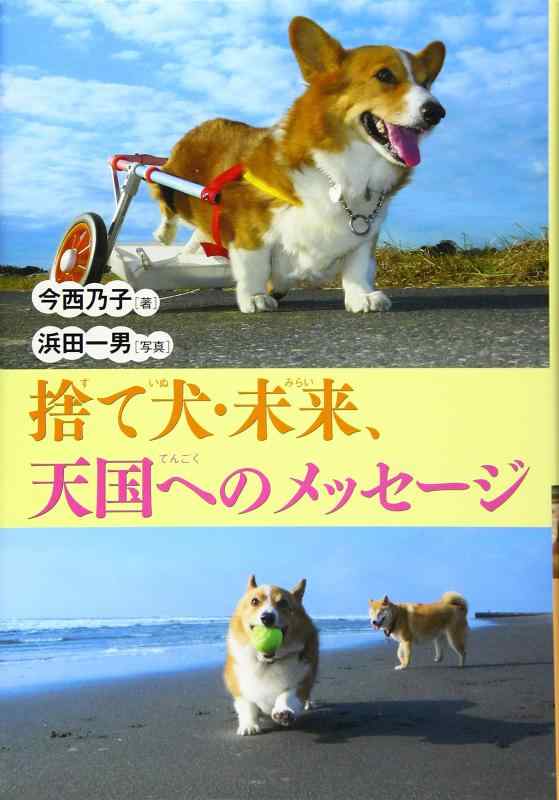 【中古】捨て犬・未来、天国へのメッセージ (ノンフィクション・生きるチカラ 23)