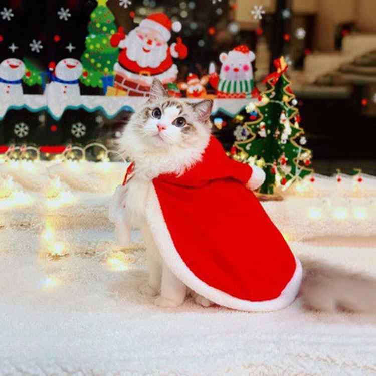 ドッグウェア 犬用 クリスマス ハロウィン 小型犬 中型犬 大型犬 ケープ コスチューム かわいい ペット服 秋冬 防寒 ショール・素材: 涤纶・スタイル: カジュアル・対象: 通用・カラー: レッド.赤鹿角・サイズ: S.M.L・種類: ペット服装