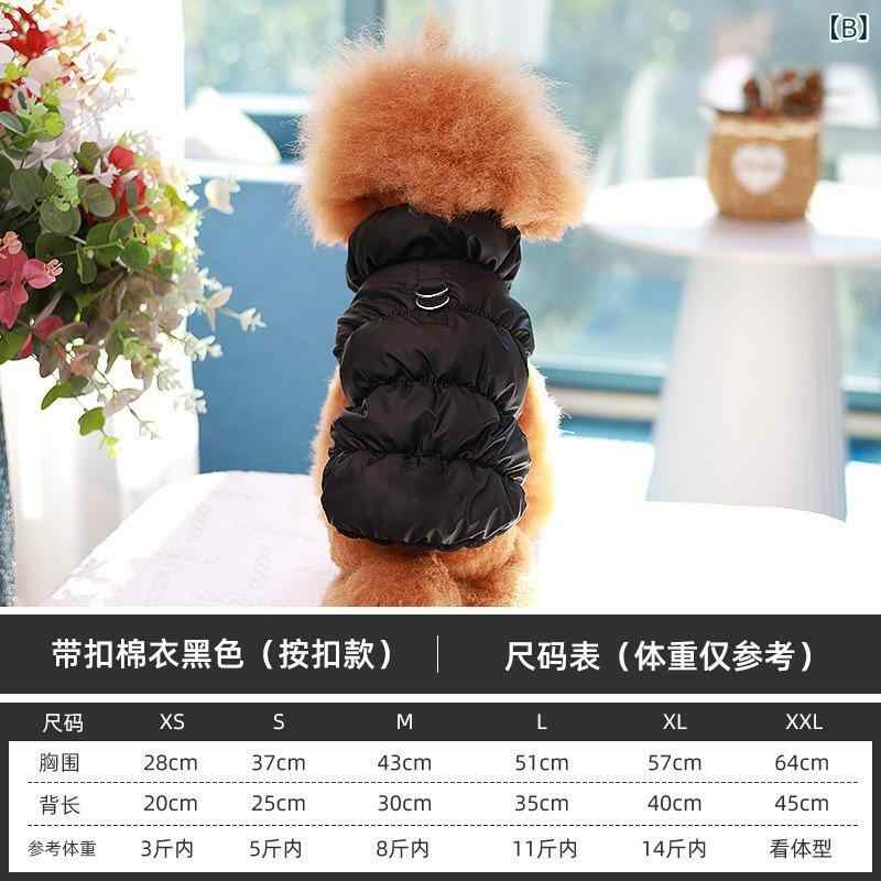 �ɥå������� ���� �ݲ� ������ �� ���åȥ� ���� �� �� ���� �ڥå� �٥���2