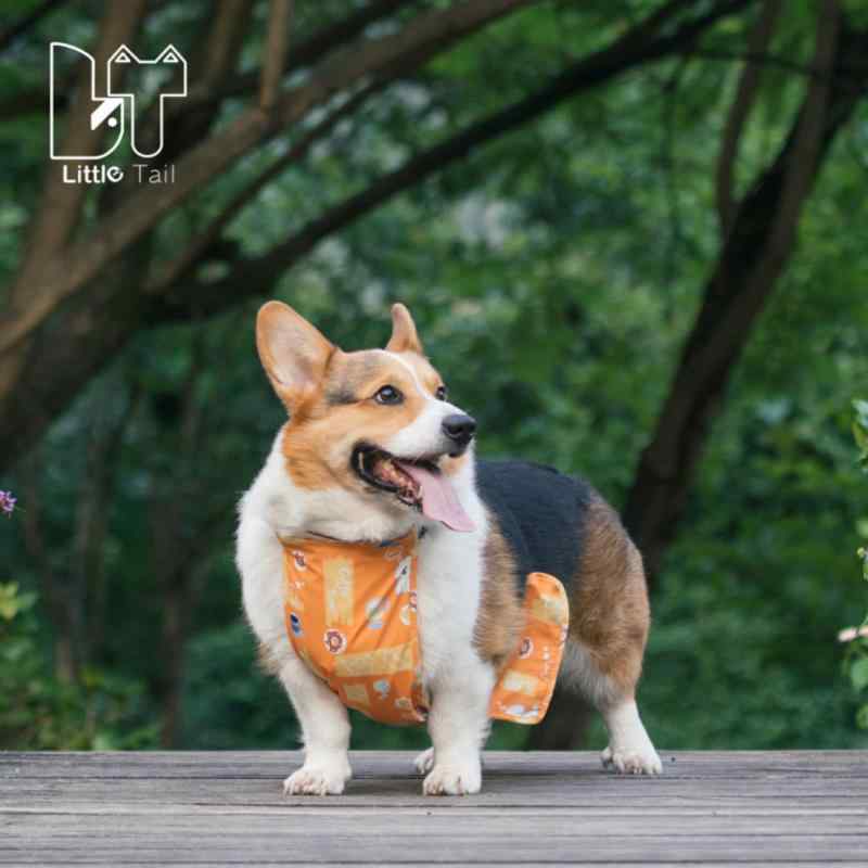 犬用 腹巻き 夏 涼しい 薄手 防水 防汚 小型犬 中型犬 フレンチブルドッグ コーギー