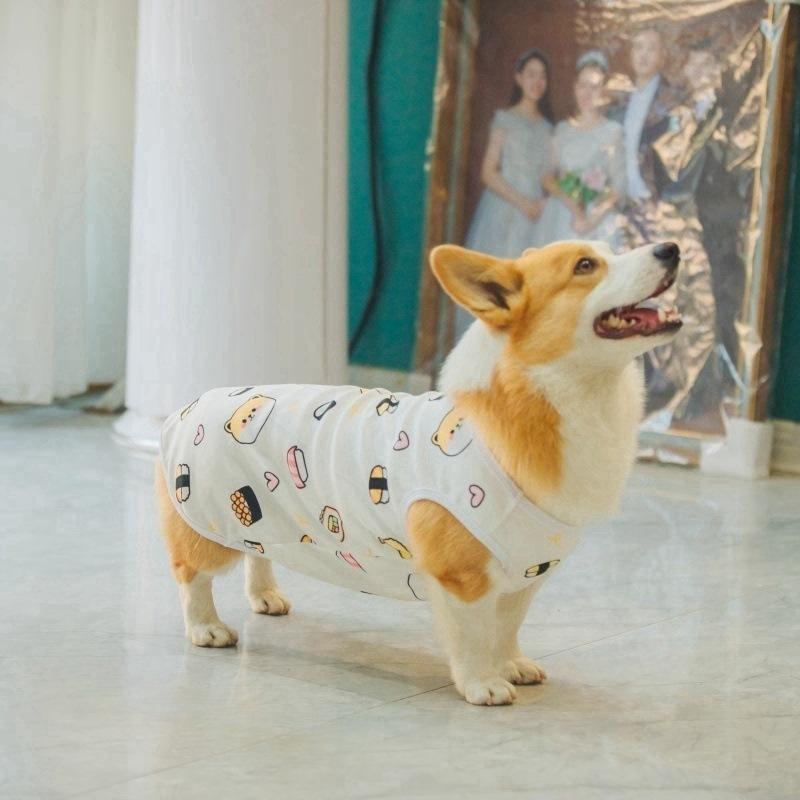 犬用 ベスト オールシーズン ペット Tシャツ かわいい ドッグ ウェア プリント 中型犬 小型犬 子犬 犬服2
