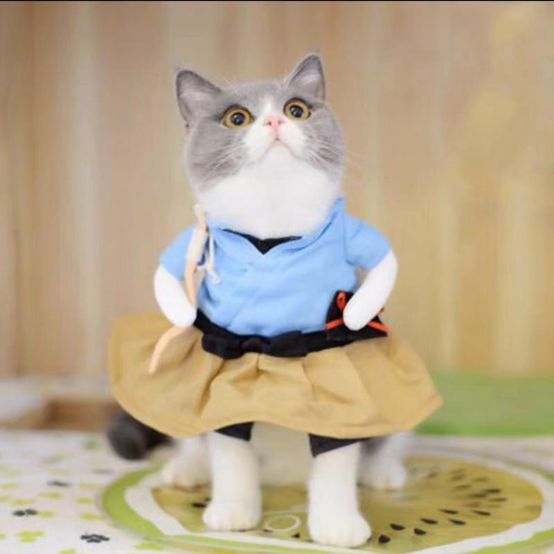 犬 服 テディ ビション フリーゼ フレンチブルドッグ おもしろ コスチューム ペット インスタ 変身 クール