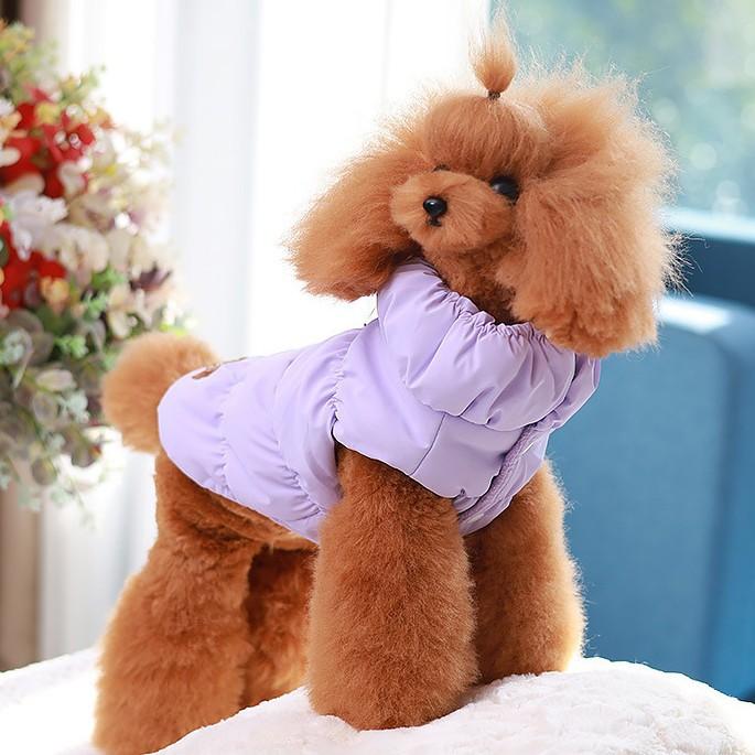 �ڥå� ���� �٥��� �� ǭ �� �ɴ��� �Ȥ��� ���� �ɥå������� ǭ�� ���餫��