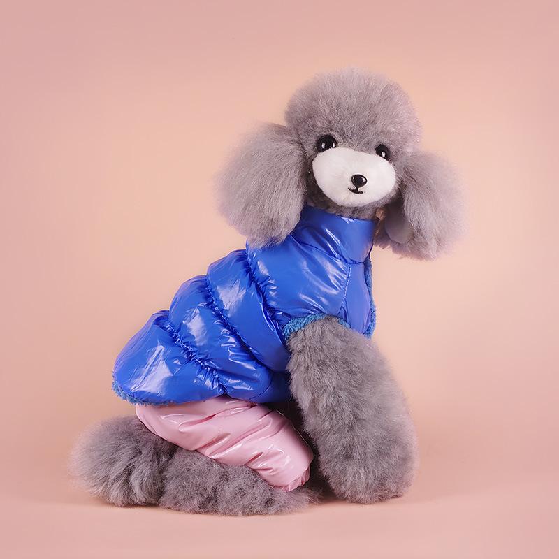 ���� �ѥ�� �ƥǥ� ǭ ������ ���� �� �ե����֥�ɥå� �ѥ� �ӥ����ե꡼�� �������� �ɥå������� ���ä��� �ڥå���