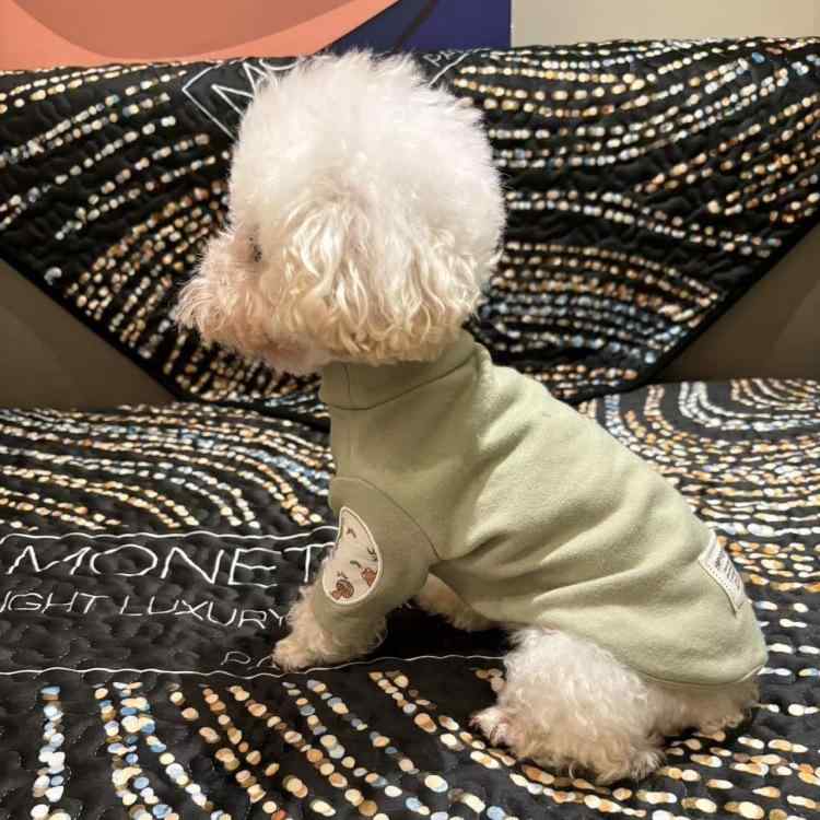 犬 服 秋冬 綿 小型犬 猫 服 かわいい 保温 防寒 刺繍 インスタ映え