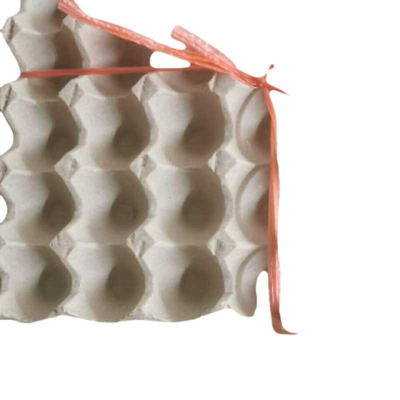 �񥱡��� ��� 30���� ��ѥ���� ��ȥ쥤 ������ �ܷܾ� �ե롼�ĥȥ졼