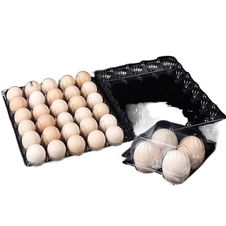 卵ケース 使い捨て 卵入れ 透明 卵パック 衝撃吸収 ピクニック 多規格
