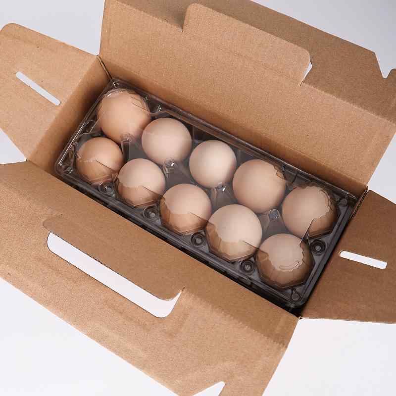 卵 パッケージ 鶏卵 農家 平飼い 豪華 梱包 共用 空箱