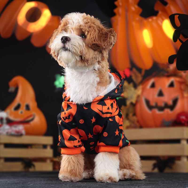 ペット服 犬 猫 南瓜 トレーナー ハロウィン パーティー 用品 小型犬 中型犬 大型犬 かわいい コスプレ 仮装 ドッグウェア キャットウェア イベント2