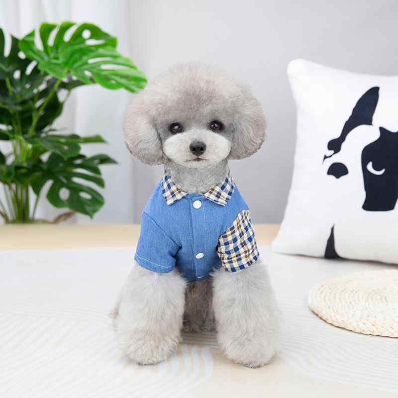 ドッグウェア テディ犬 夏服 格子柄 シャツ 犬服 ビションフリーゼ プードル ペット服