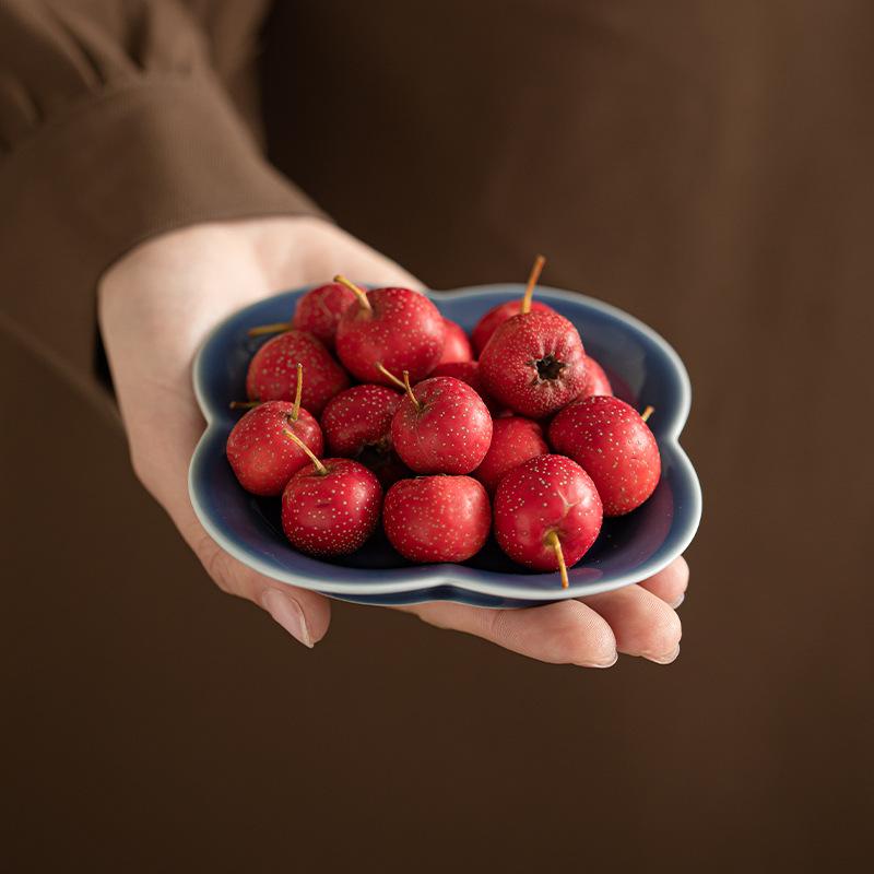茶碗 菓子器 小皿 陶器 豆皿 ミニプレート 果物皿 ケーキ皿 小物入れ アクセサリートレー ナッツトレー