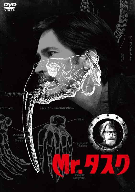 【中古】Mr.タスク スペシャル・プライス [DVD]