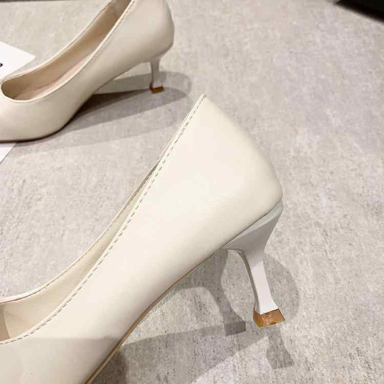 �ѥ�ץ� ��ǥ����� �� �ڹ� �ݥ���ƥåɥȥ� ������ �ԥ�ҡ��� �� ������ ���� ���쥬��� ���� ���줤�� �ե��ߥ˥�