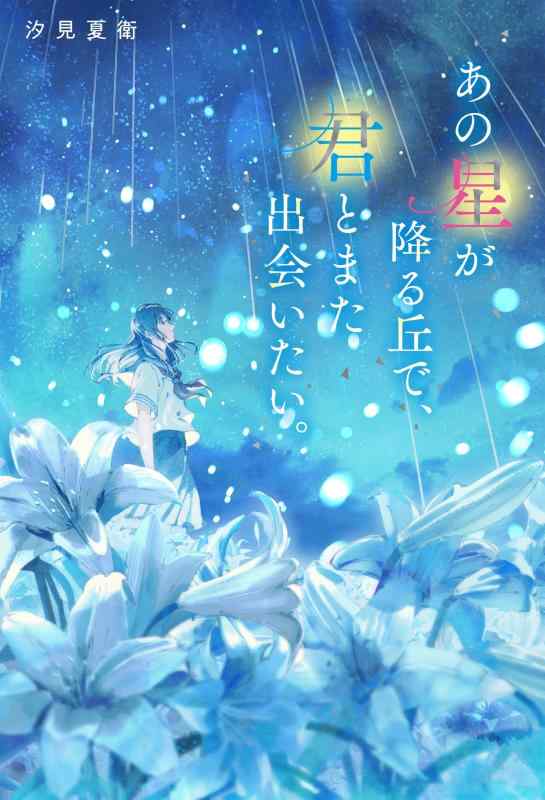 【中古】あの星が降る丘で、君とまた出会いたい。