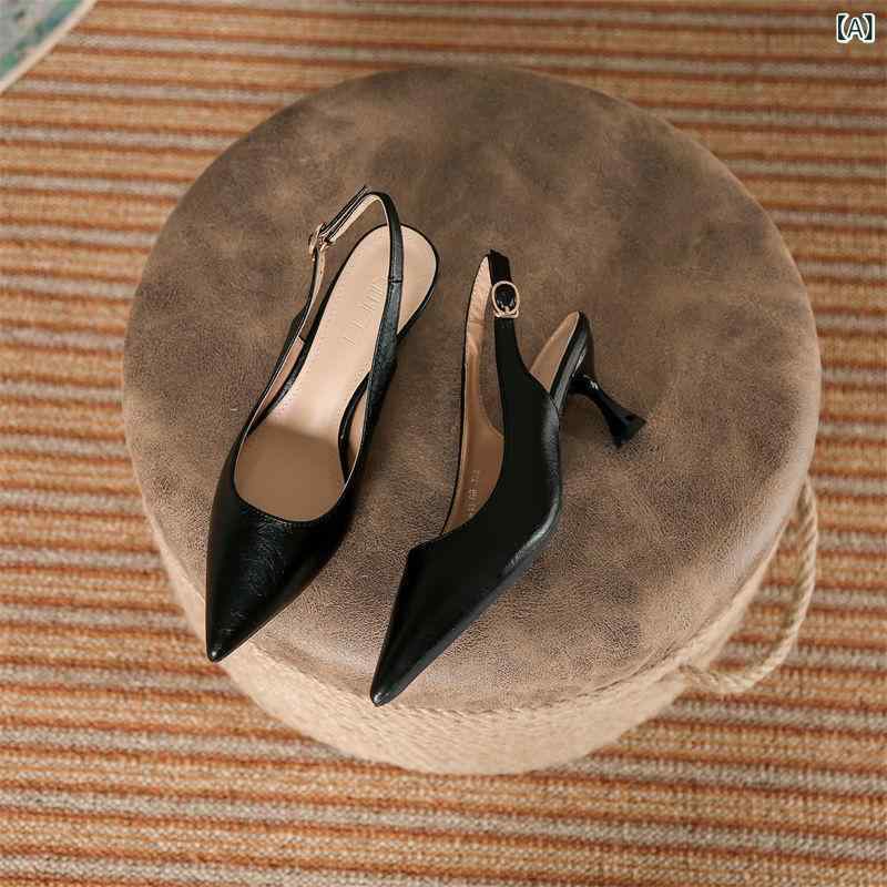 �� ��ǥ����� �ϥ��ҡ��� �ѥ�ץ� �ݥ���ƥåɥȥ� �Хå����ȥ�å� ������� �֥�å� ���쥬��� �ե��ߥ˥� �ղ�2