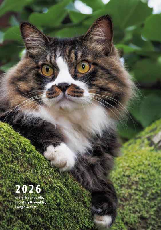 Rakuten - 【中古】2026 岩合光昭 ねこ手帳
