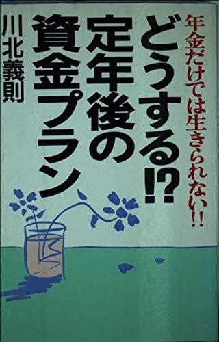 【中古】年金だけでは生きられないどうする定年後の資金プラン