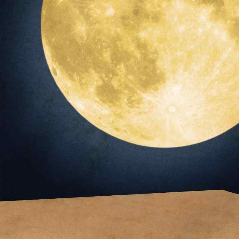 【中古】まんげつの夜(初回盤)(DVD付)