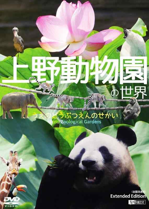 【中古】シンフォレストDVD 上野動物園の世界 うえのどうぶつえんのせかい/Extended Edition (全国流通版)