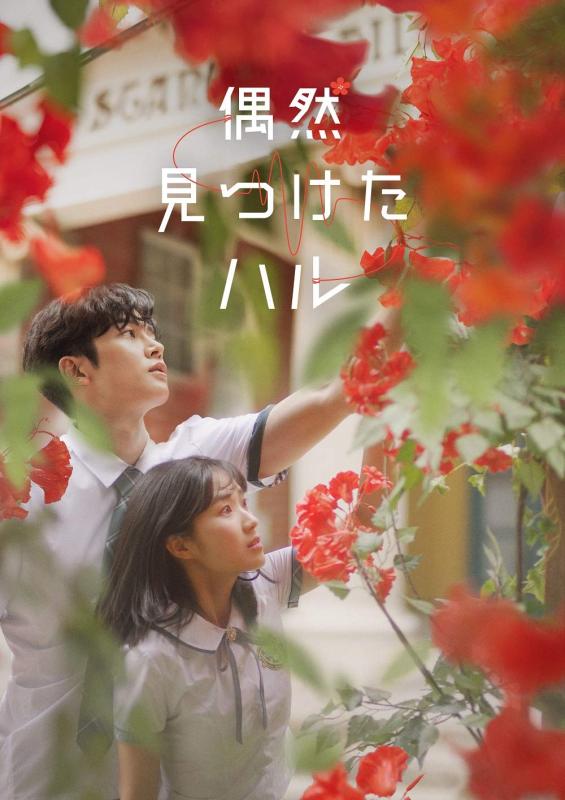 【中古】偶然見つけたハル DVD-BOX2