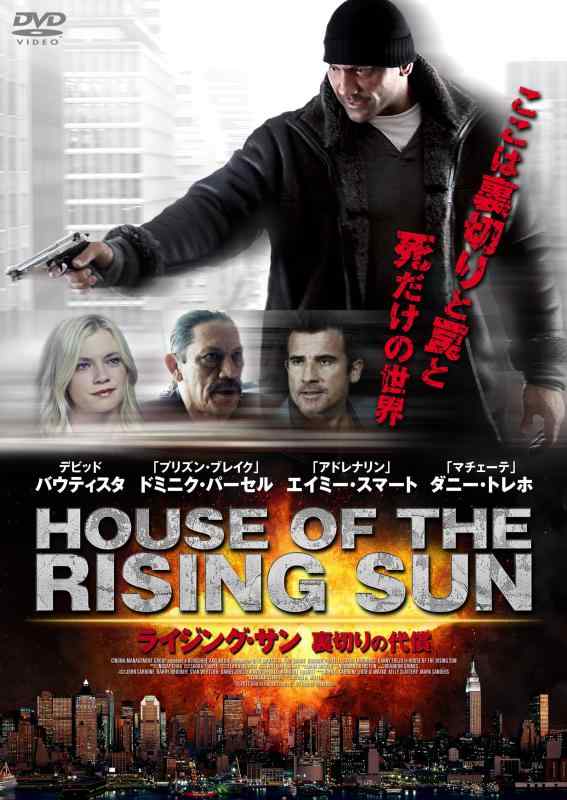 【中古】ライジング・サン 裏切りの代償 [DVD]