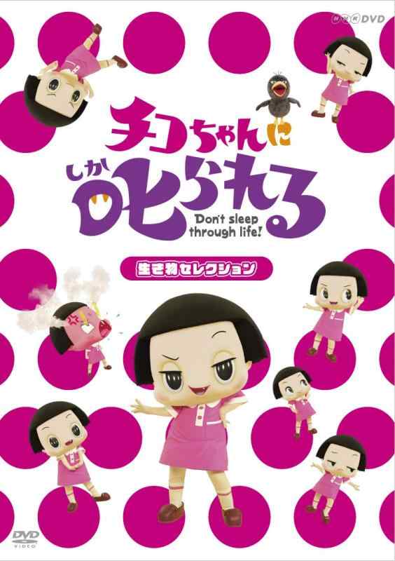 [중고] 치코 짱에게 꾸짖는 [생물 선택] 통상판 [DVD]