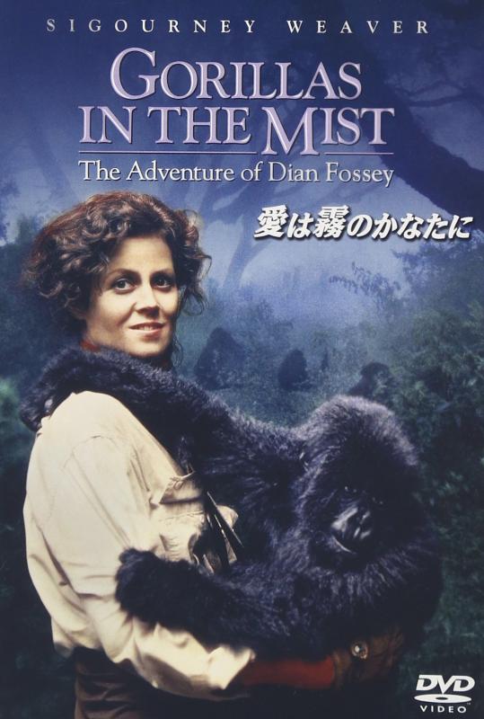 【中古】愛は霧のかなたに