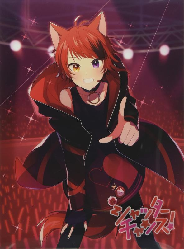 乐天商城 - 【中古】シャッターチャンス (初回盤)(DVD付)(特典:なし)