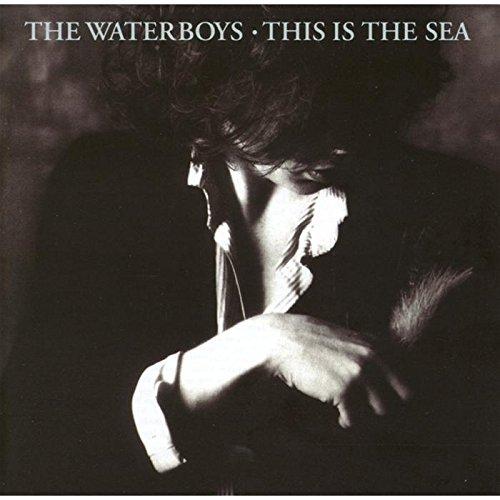 This Is The Sea 