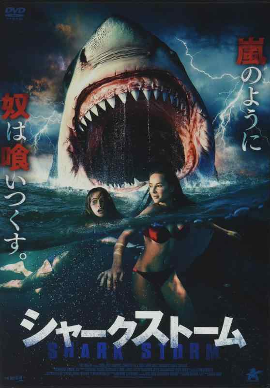 【中古】シャークストーム [DVD]
