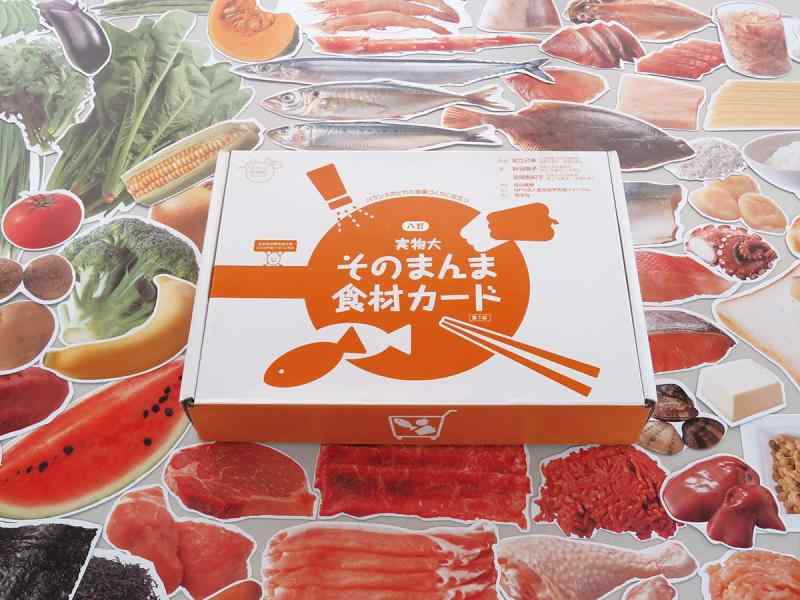 【中古】実物大・そのまんま食材カード 第3版 (群羊社のたのしい食育教材シリーズ)