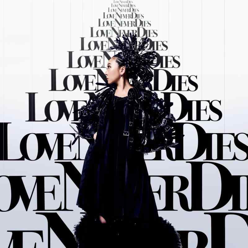 【中古】LOVE NEVER DIES-MISIA ART BOOK- (完全生産豪華盤) (特典なし)