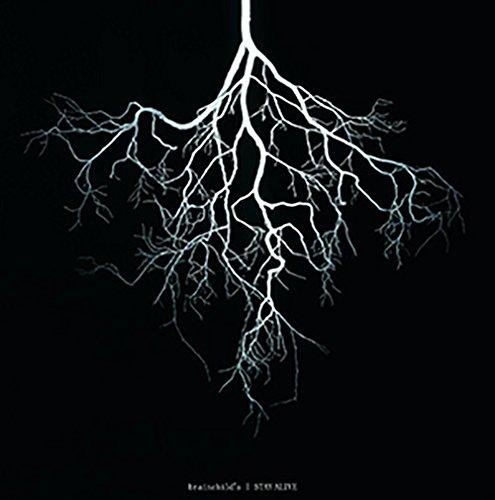 【中古】STAY ALIVE