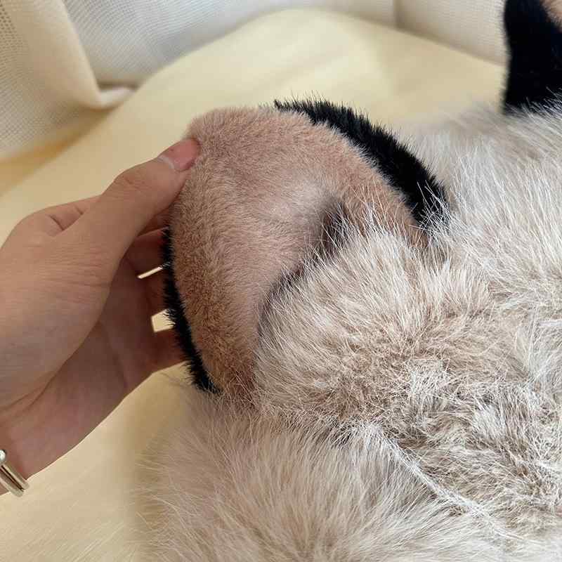 ニット帽 レディース 猫耳 耳当て付き 秋冬 防寒 あったか 学生 かわいい 小顔効果...