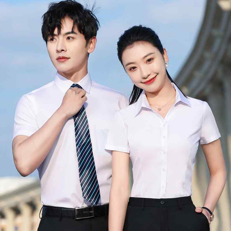 ����� ��ǥ����� Ⱦµ����� �֥饦�� ���åȥ��å� �� �ӥ��ͥ� ���ե��� �ե����ޥ� 4SŹ �ܵ� ����� ����� ����2