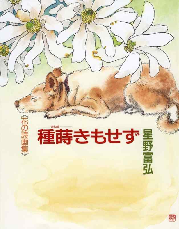 【中古】花の詩画集 種蒔きもせず