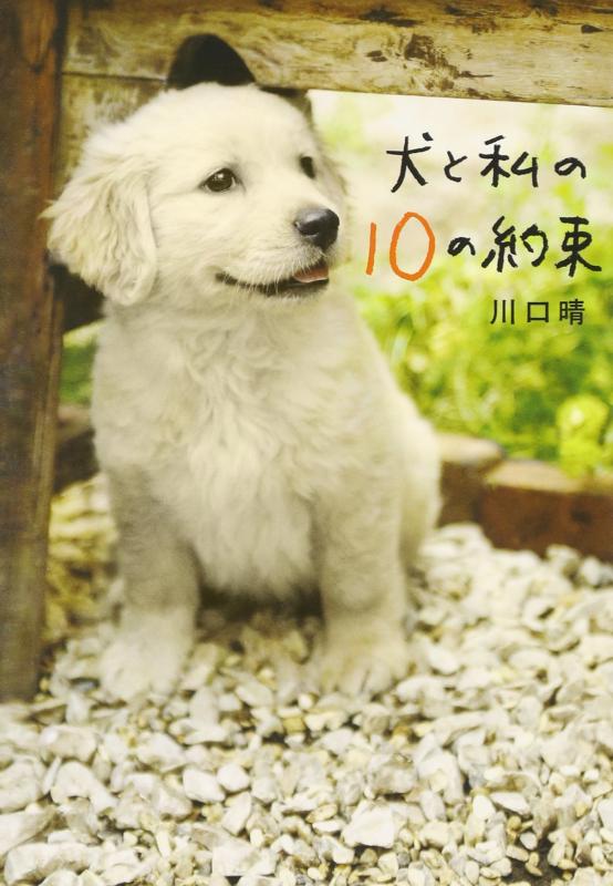 【中古】犬と私の10の約束